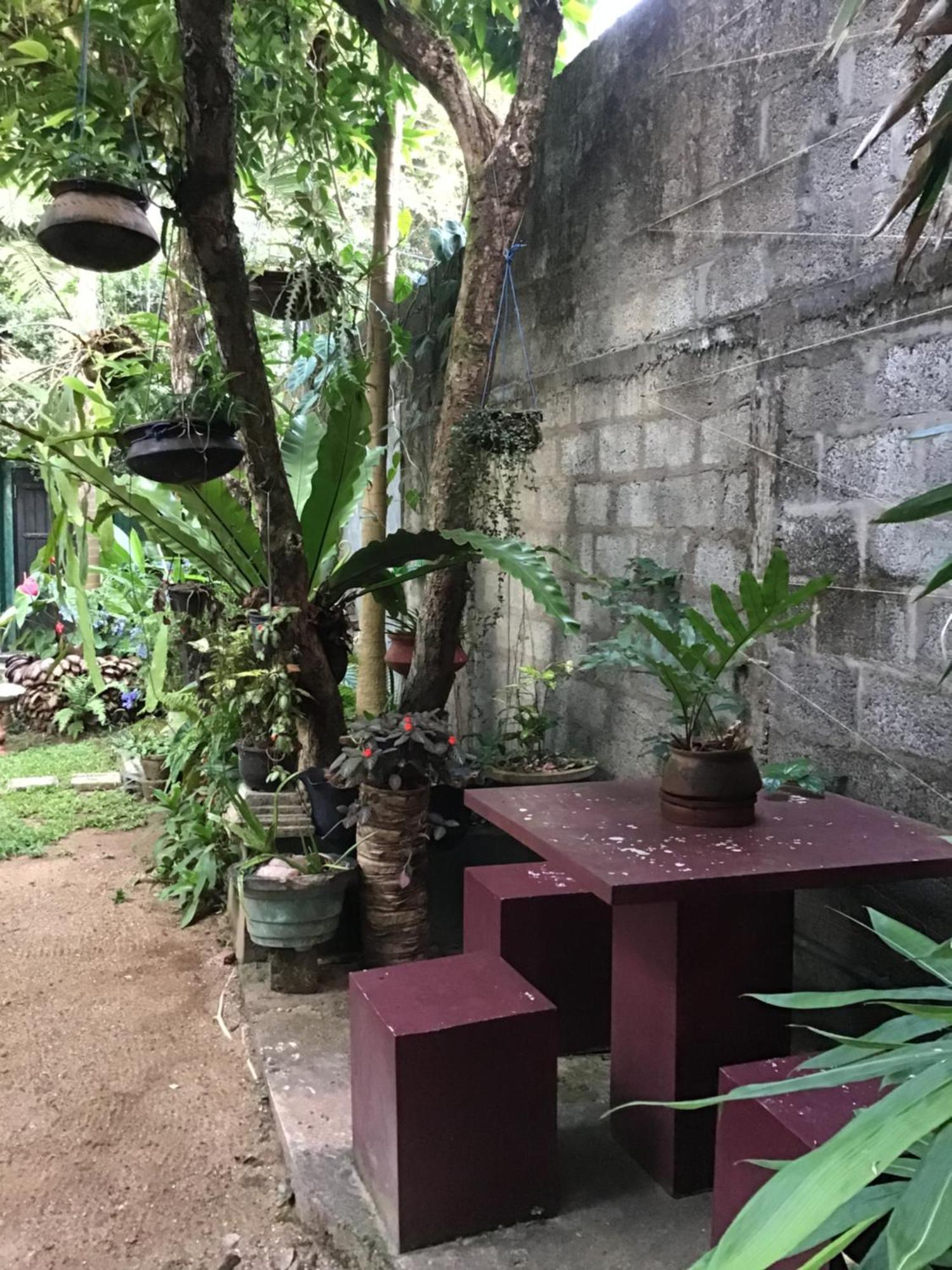 Sanjeehome & Lanka Ayurveda, Bentota Kültér fotó