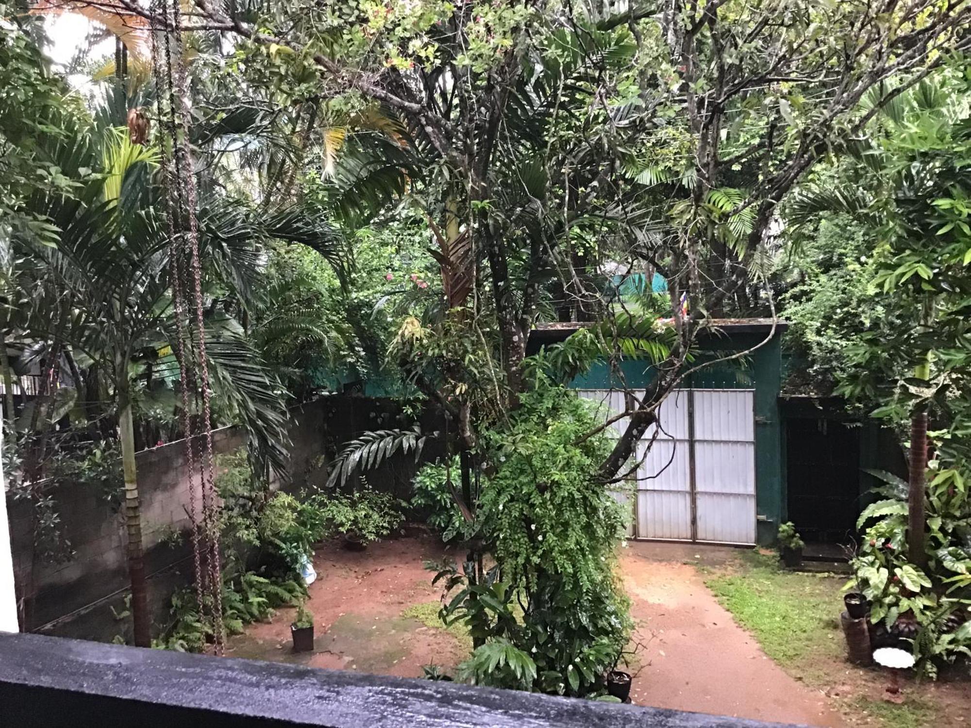 Sanjeehome & Lanka Ayurveda, Bentota Kültér fotó