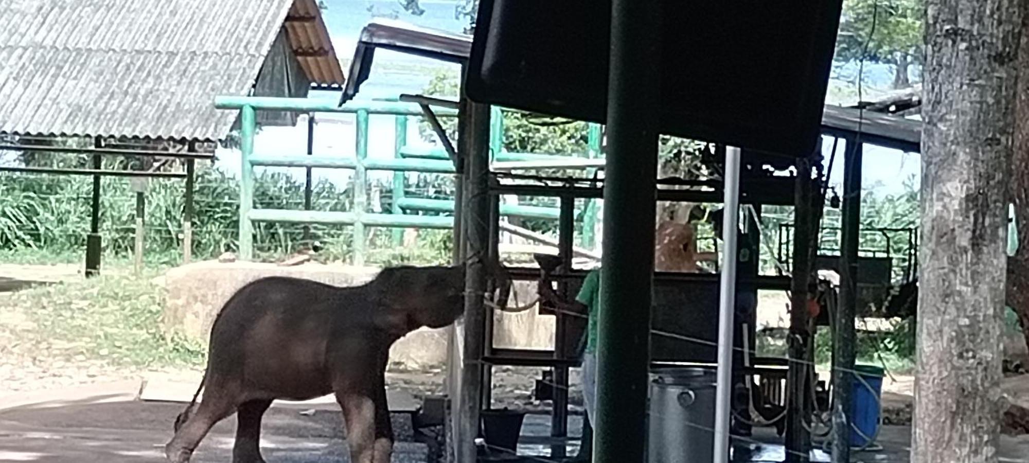 Sanjeehome & Lanka Ayurveda, Bentota Kültér fotó